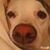 Nancy Messano's profile image