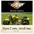 Mike Randall's profile image