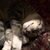 Candace Marie's profile image