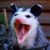 Elizabeth McCloy's profile image
