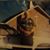 Dale Ethridge's profile image