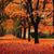 Julie Procter's profile image