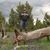 Matthew B. Felde's profile image
