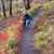 Linda Sentz's profile image