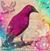 Fe Esperanza Amor's profile image