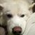 Kenneth Klodin's profile image