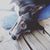 Nikki Pettine's profile image