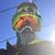 Derak Mostoller's profile image