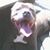 Kathy Lyons's profile image