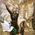 Andrea Raygoza's profile image