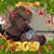 Judy Mills's profile image