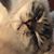 Mary-Ellen Schwandt Leidy's profile image