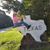 Patricia Elkins's profile image