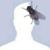 Dawa Dorje Tamang's profile image