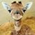 Carrie Busler's profile image