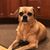 Patricia Mulligan Docherty's profile image