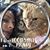 Amy Miller's profile image