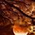 Terri Chapple's profile image
