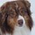 Sue Mundschau's profile image