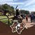 Sondra Viger's profile image