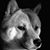 Raquel Russell's profile image