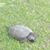 Kendra Dement's profile image