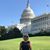 Andrea Gugel's profile image