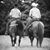 Christy Squires Dunn's profile image