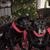Bill Whalen's profile image