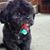 Pat Helgesen's profile image
