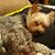 Lisa Ohms-Schoenberger's profile image