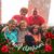 Lois Sue Doug Koning-Schut's profile image