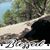 Debbie Walters's profile image