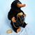 Heather Newkirk's profile image