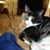 Lori Deaton's profile image
