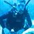 Michael Stenberg's profile image