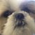 Jeff Pettit's profile image