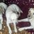 Stephanie Culp's profile image