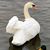 Kathy Bradford Tibbett's profile image