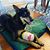 Kate Thomson's profile image