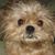 Millie Thomas's profile image