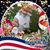 Steve Russell's profile image