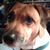 Carrie Grant's profile image
