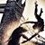 Jolie Giroir Mosley's profile image