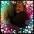Tracy Brennan Cotoni's profile image
