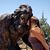 Leah Bruinsslot Dilbeck's profile image