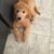 Lucy Dasans's profile image