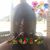 Sue Hulslander-Lapi's profile image
