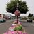 Patti Hall's profile image