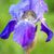 Glenda Overfelt's profile image